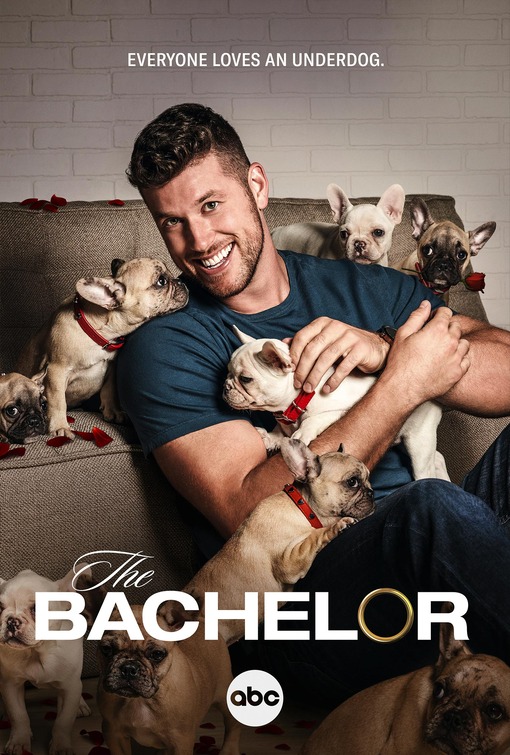 The Bachelor Movie Poster