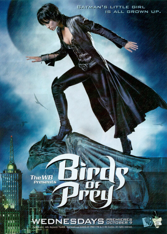 Birds of Prey Movie Poster