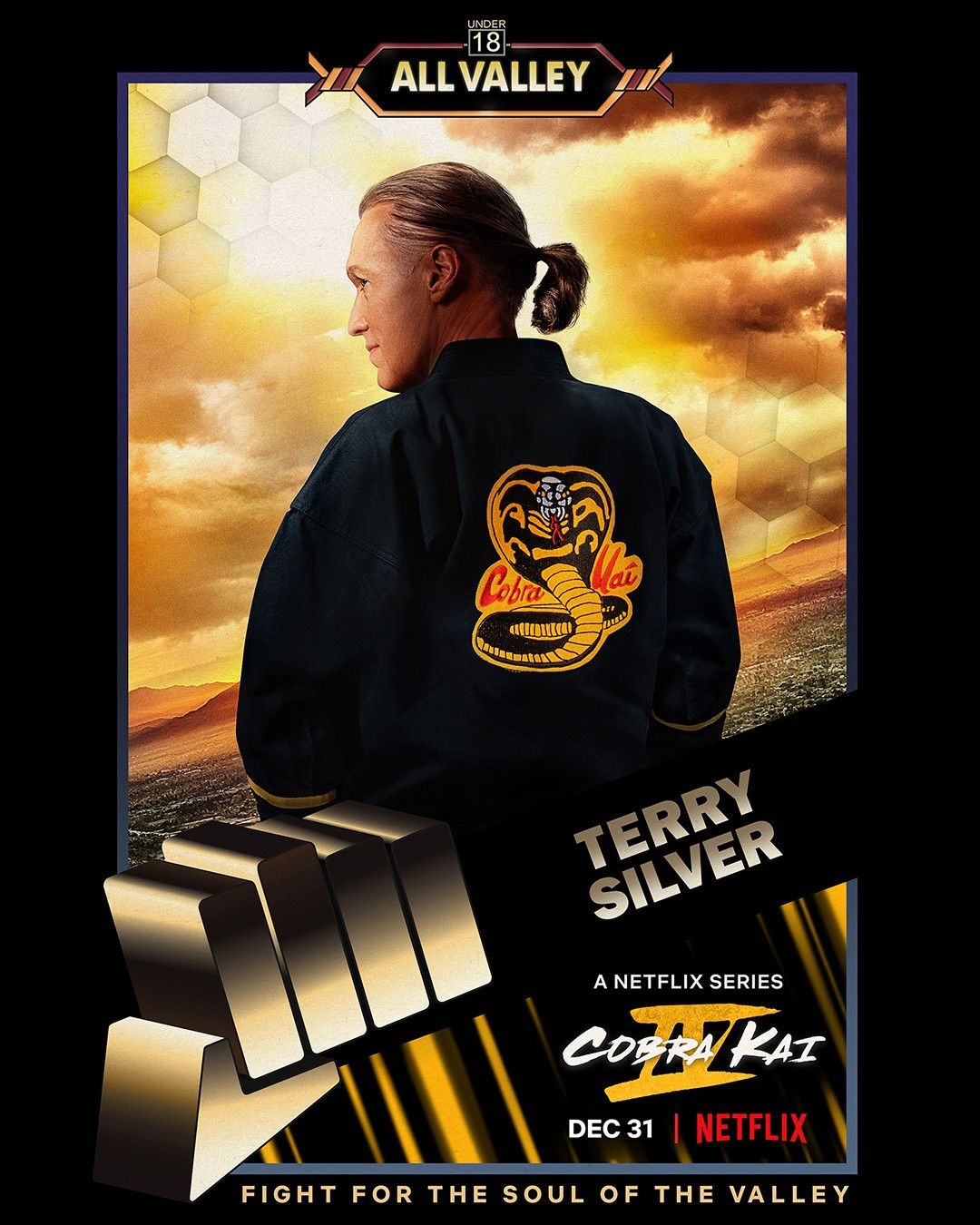 Extra Large TV Poster Image for Cobra Kai (#17 of 26)