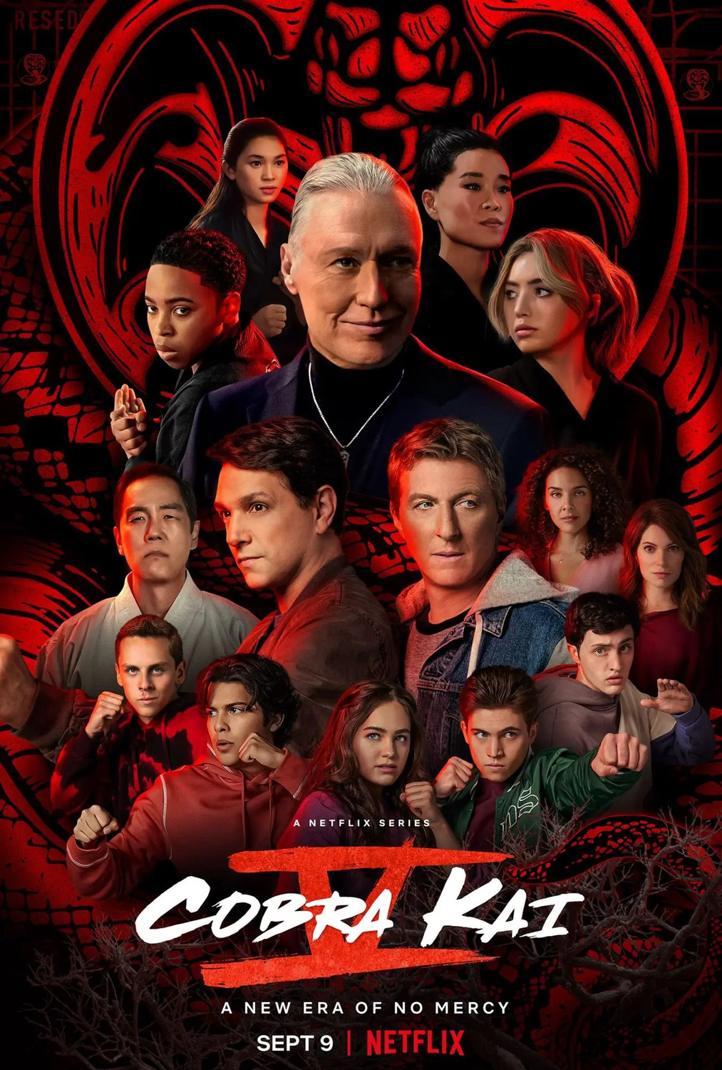 Extra Large TV Poster Image for Cobra Kai (#20 of 26)