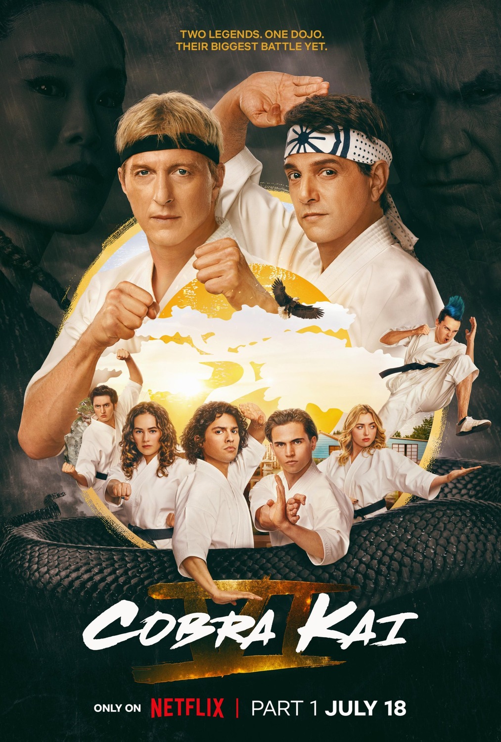 Extra Large TV Poster Image for Cobra Kai (#21 of 26)