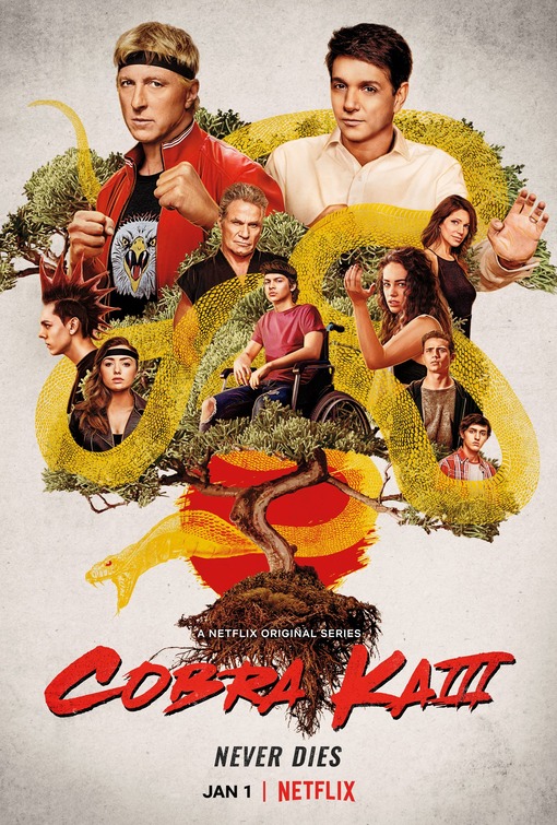 Cobra Kai Movie Poster