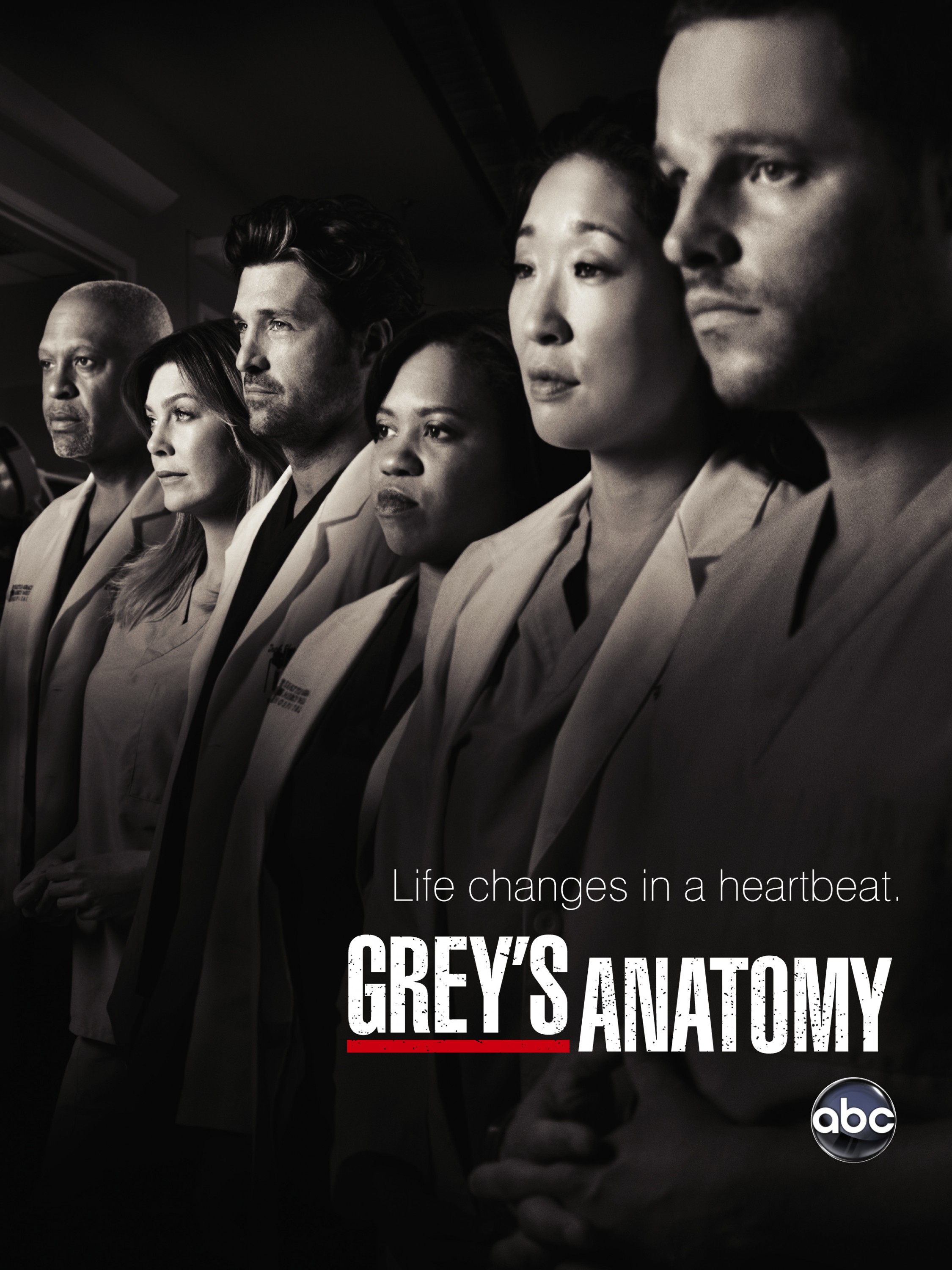 Mega Sized TV Poster Image for Grey's Anatomy (#10 of 30)