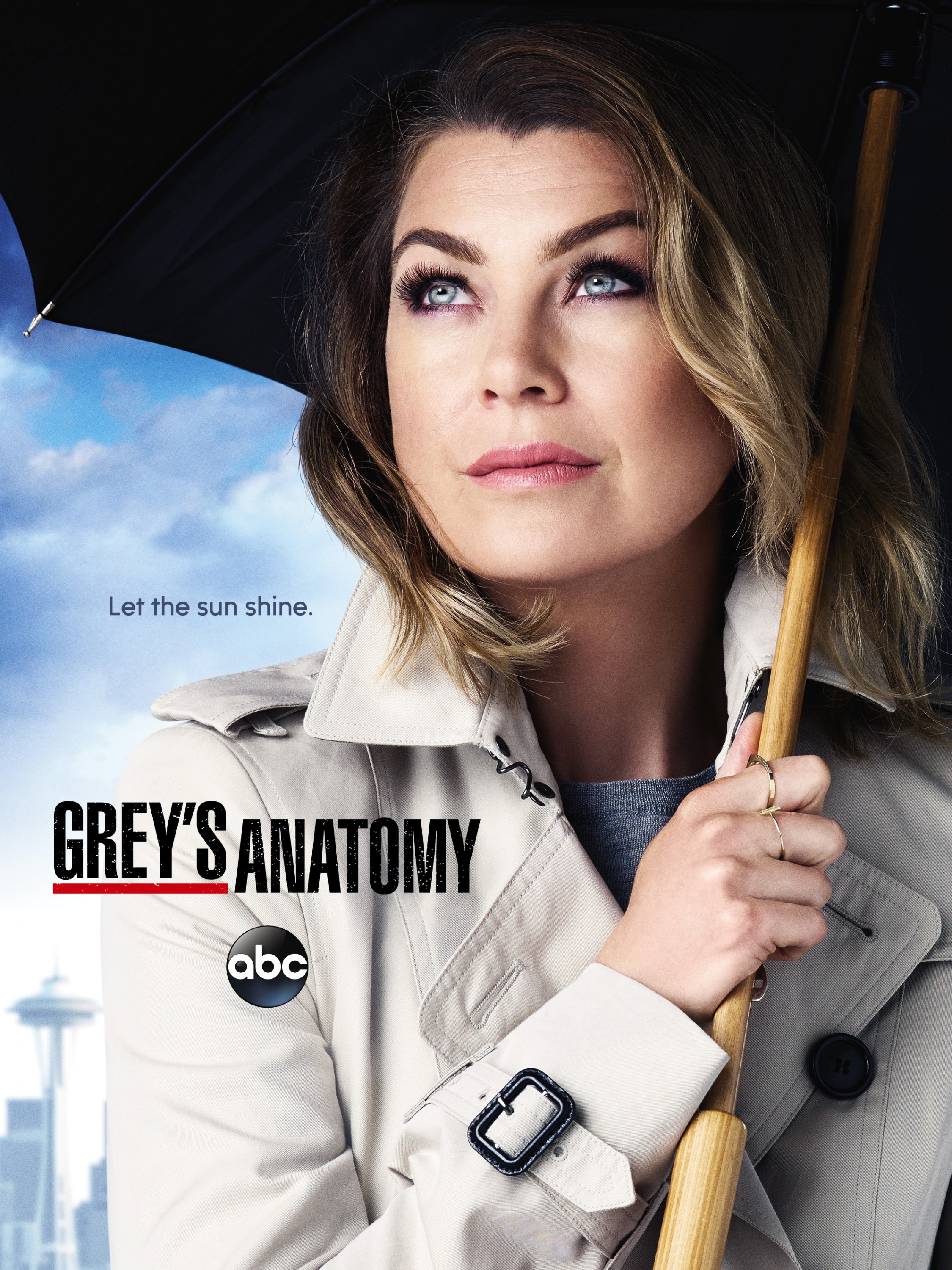 Mega Sized TV Poster Image for Grey's Anatomy (#17 of 30)