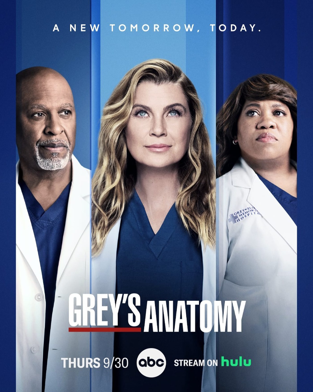 Extra Large TV Poster Image for Grey's Anatomy (#24 of 30)