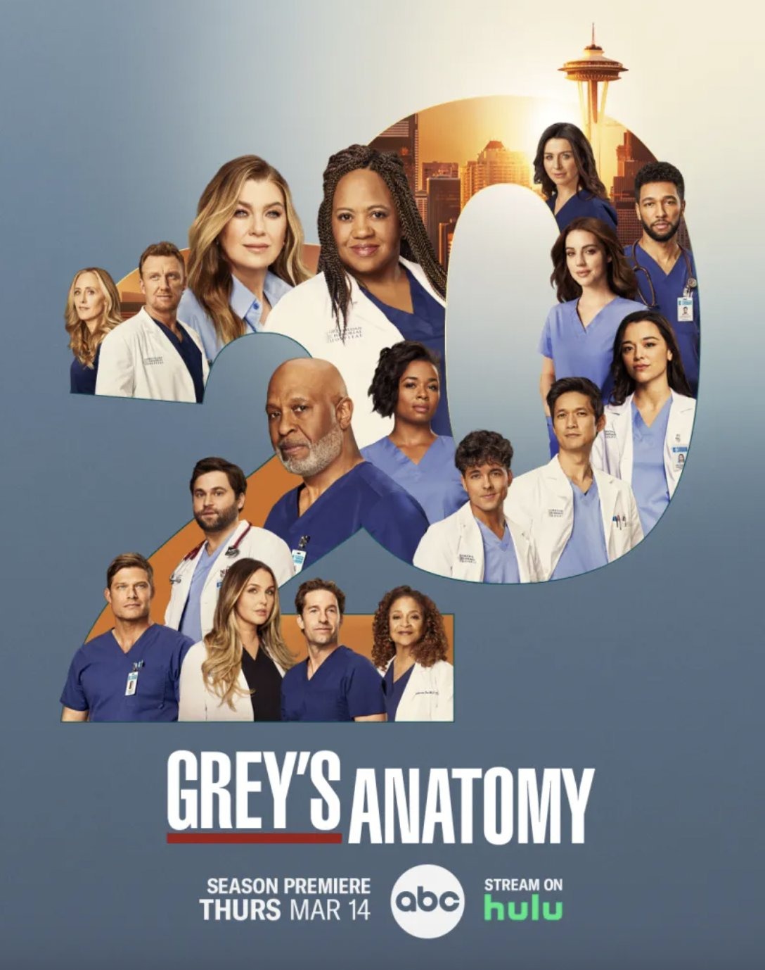 Extra Large TV Poster Image for Grey's Anatomy (#29 of 30)