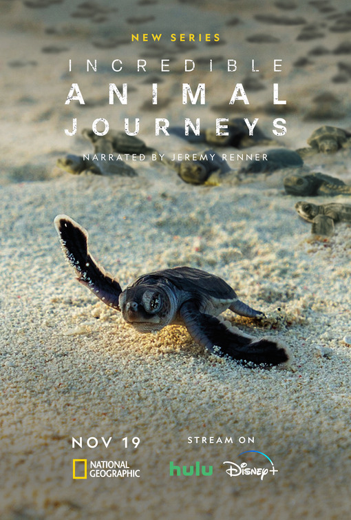 Incredible Animal Journeys Movie Poster