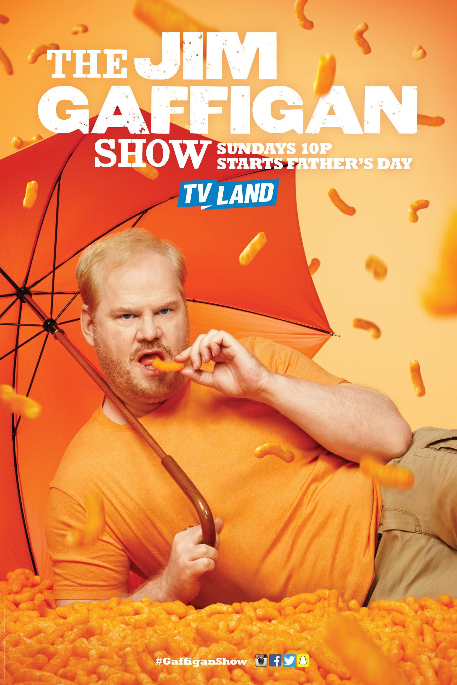 Mega Sized TV Poster Image for The Jim Gaffigan Show (#6 of 7)