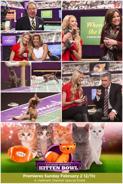 Kitten Bowl Movie Poster