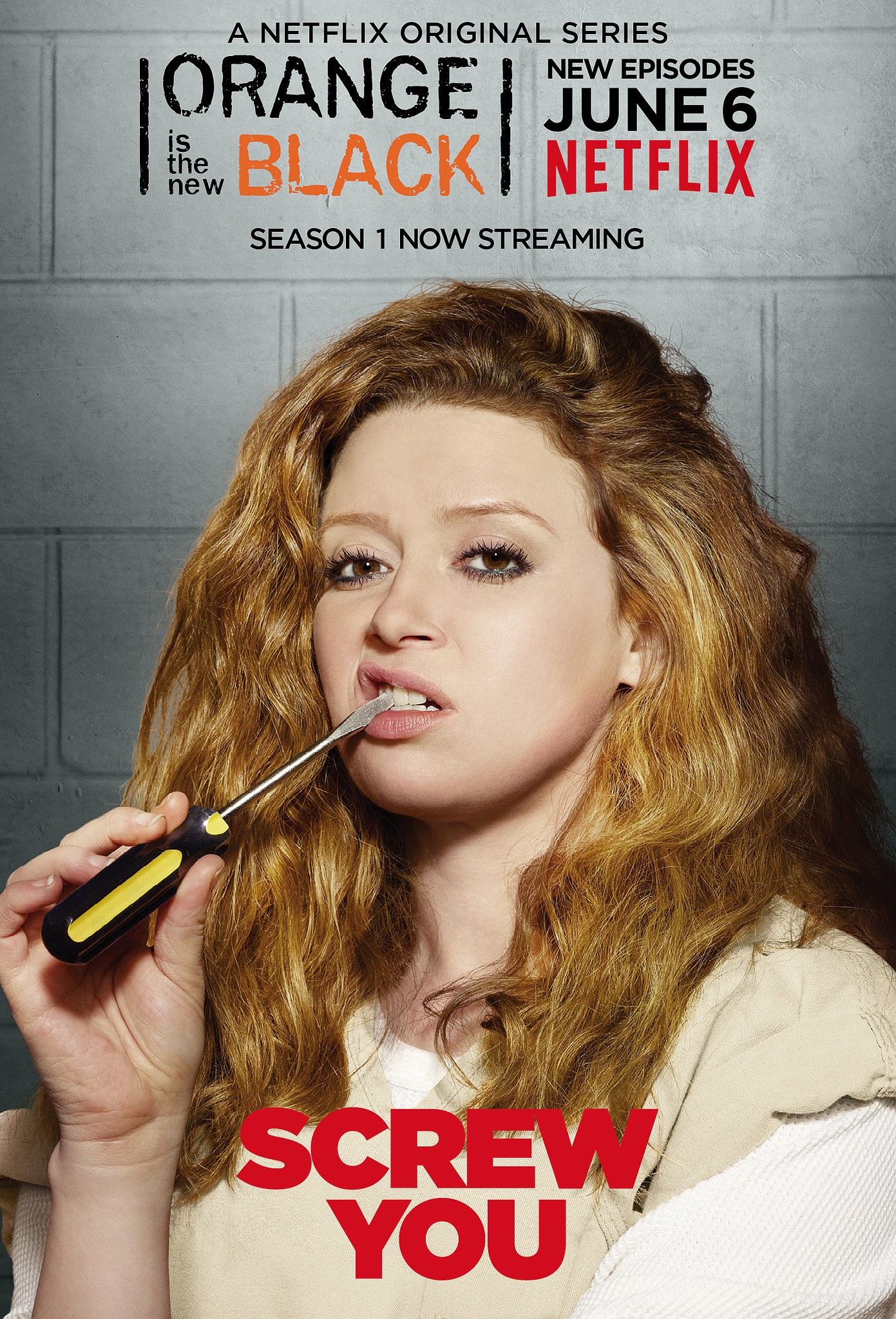 Mega Sized TV Poster Image for Orange Is the New Black (#4 of 81)