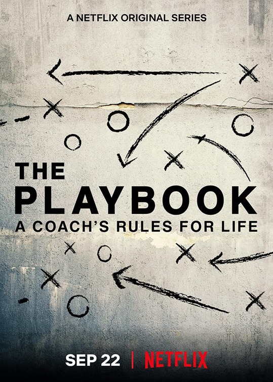 The Playbook Movie Poster