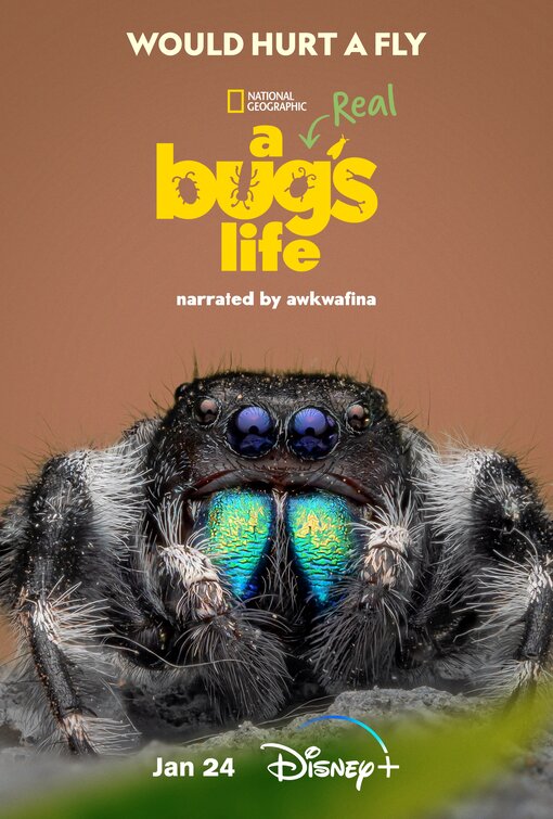 A Real Bug's Life Movie Poster