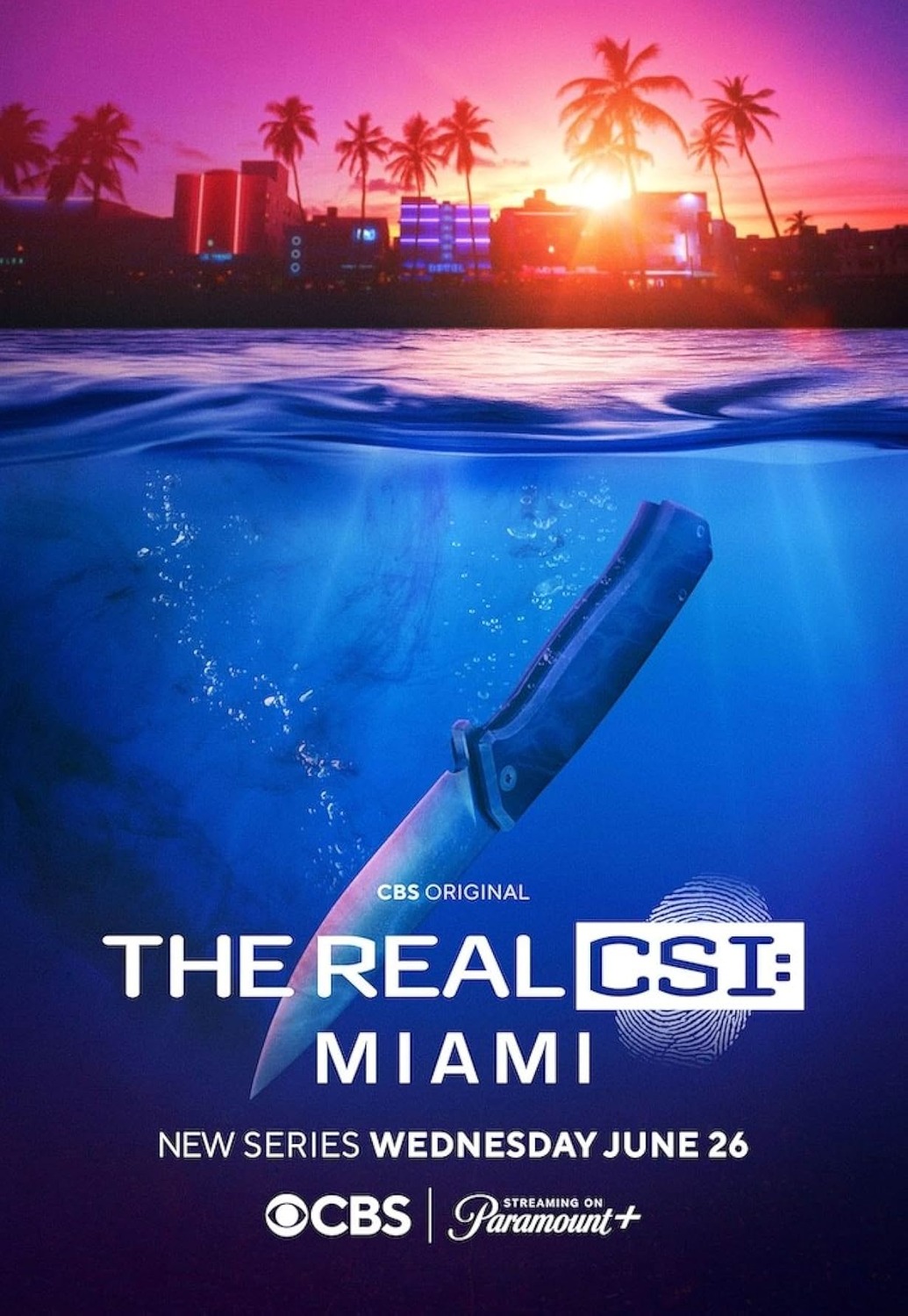 Extra Large TV Poster Image for The Real CSI: Miami 