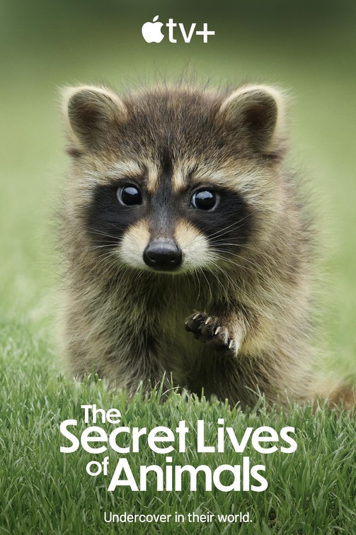 The Secret Lives of Animals Movie Poster