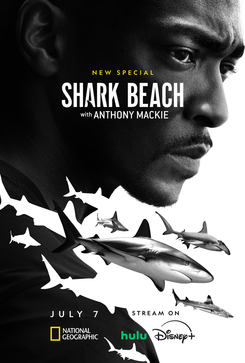 Extra Large TV Poster Image for Shark Beach with Anthony Mackie (#2 of 2)