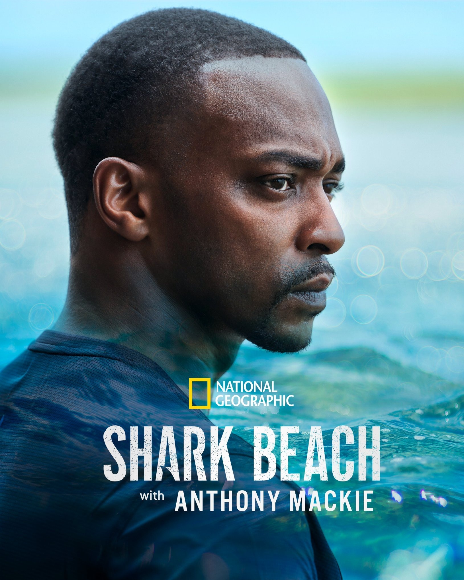 Mega Sized TV Poster Image for Shark Beach with Anthony Mackie (#1 of 2)