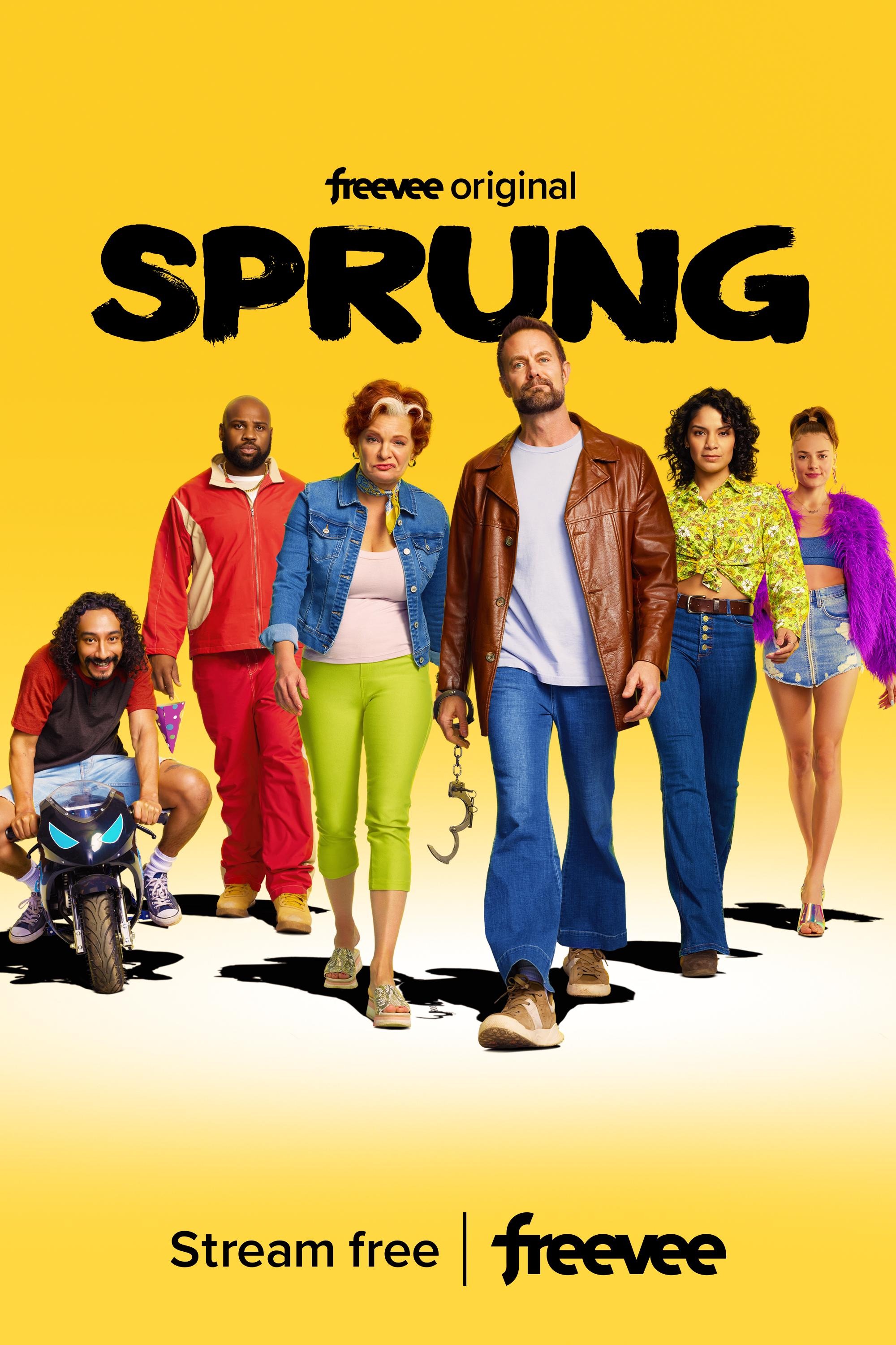 Mega Sized TV Poster Image for Sprung 