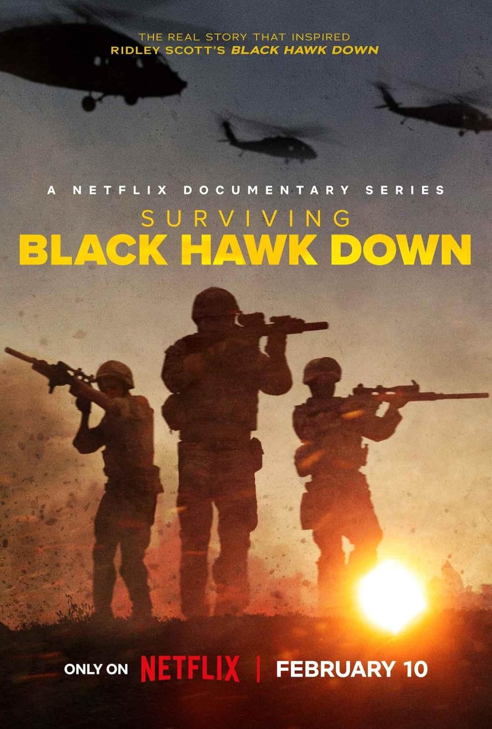 Extra Large TV Poster Image for Surviving Black Hawk Down 