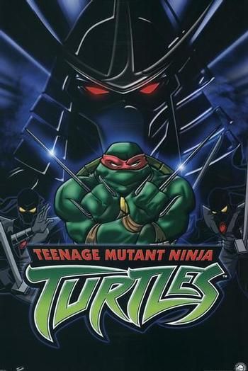 Teenage Mutant Ninja Turtles Movie Poster